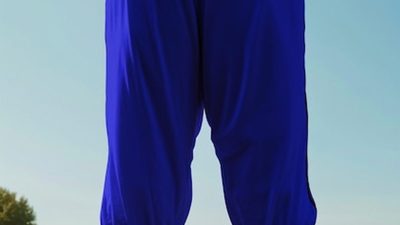 钢质入户门：揭秘其优缺点，助您明智选择**